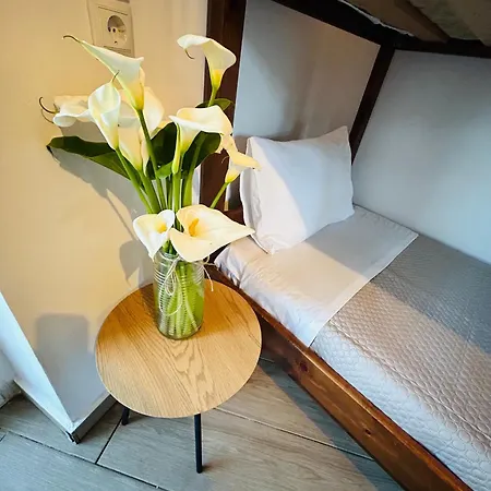 Appartement Pedro Navarino Vi *