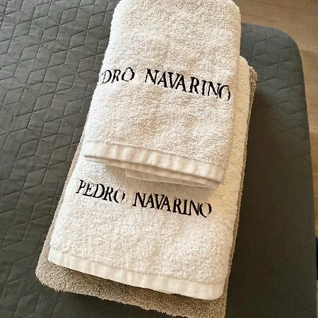 Pedro Navarino 6a