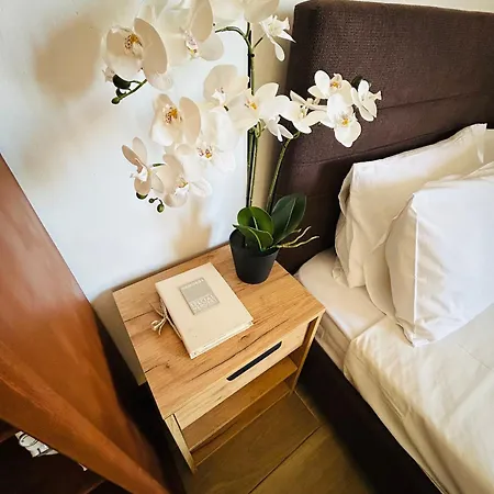 Pedro Navarino 6a Laganas