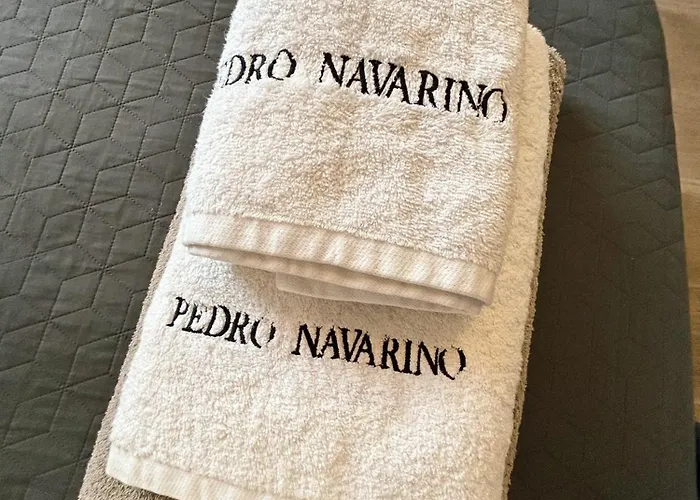 Pedro Navarino 6a